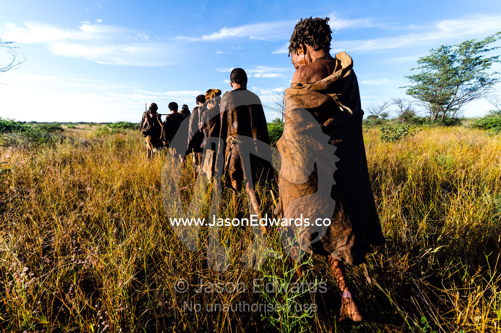 A family of San Bushmen in leather animal skins walking through a grassland at dawn to hunt for breakfast. Kalahari Desert, Botswana.