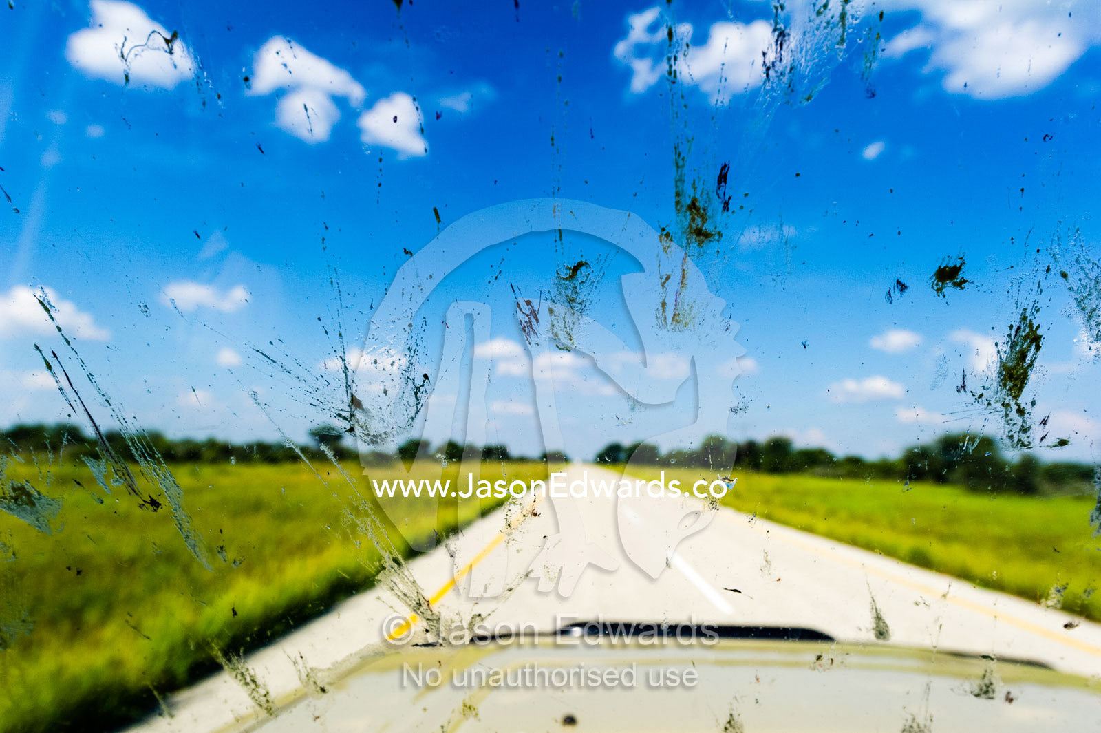 Dead splattered insects on the windscreen of a safari 4wd in Africa. Makgadikgadi Pans, Botswana.