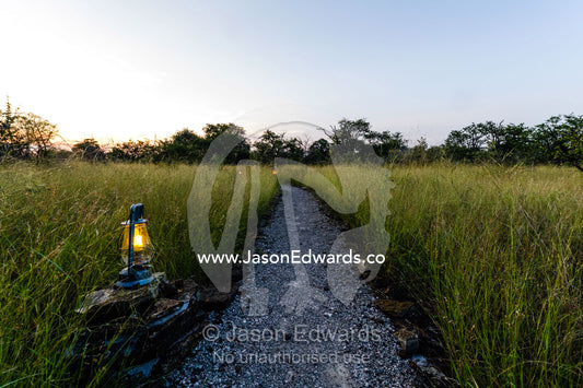 Kerosene lanterns light a path through grasslands at a safari camp. Planet Baobab, Makgadikgadi Pans, Botswana.