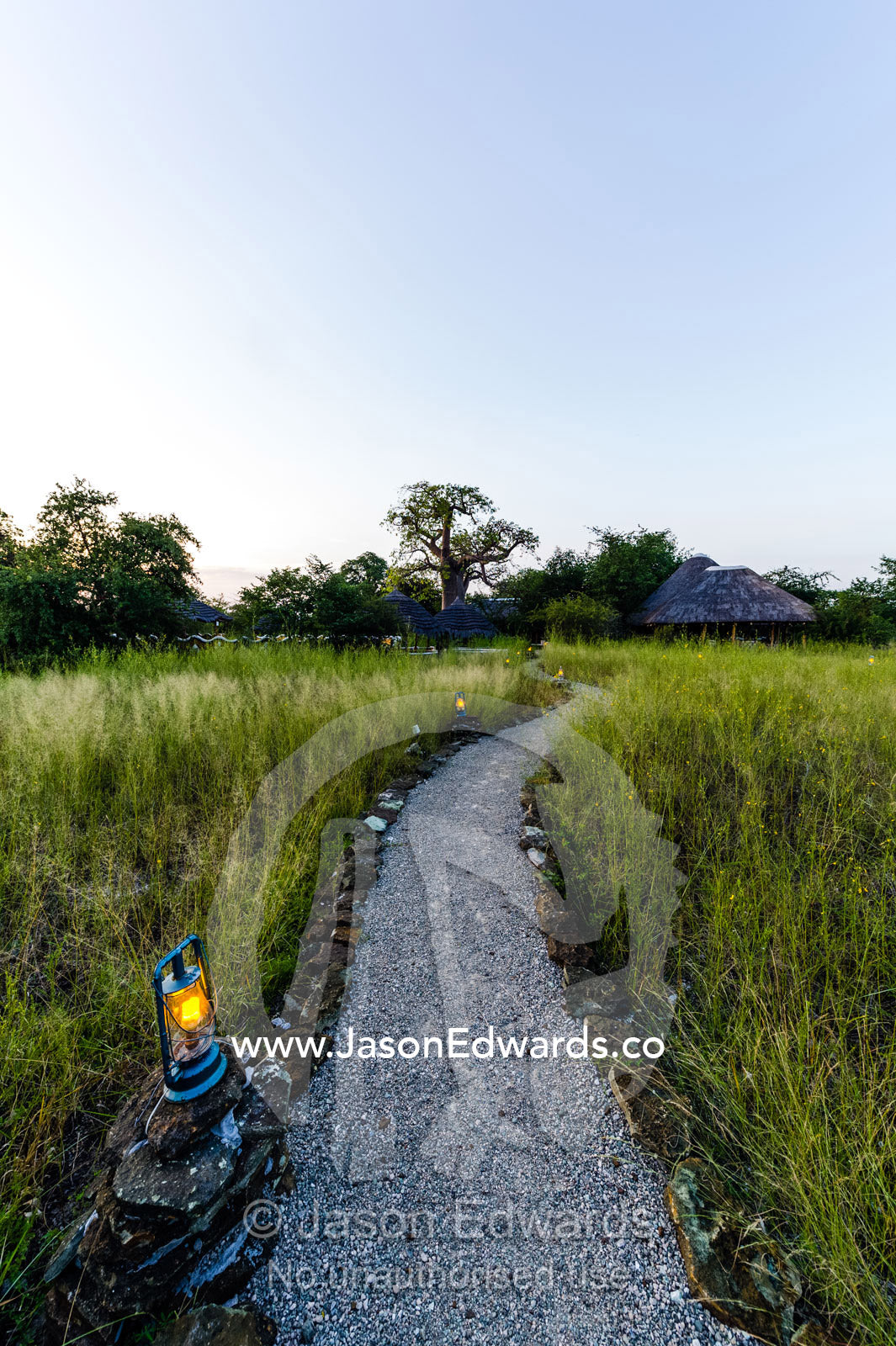 Kerosene lanterns light a path through grasslands at a safari camp. Planet Baobab, Makgadikgadi Pans, Botswana.