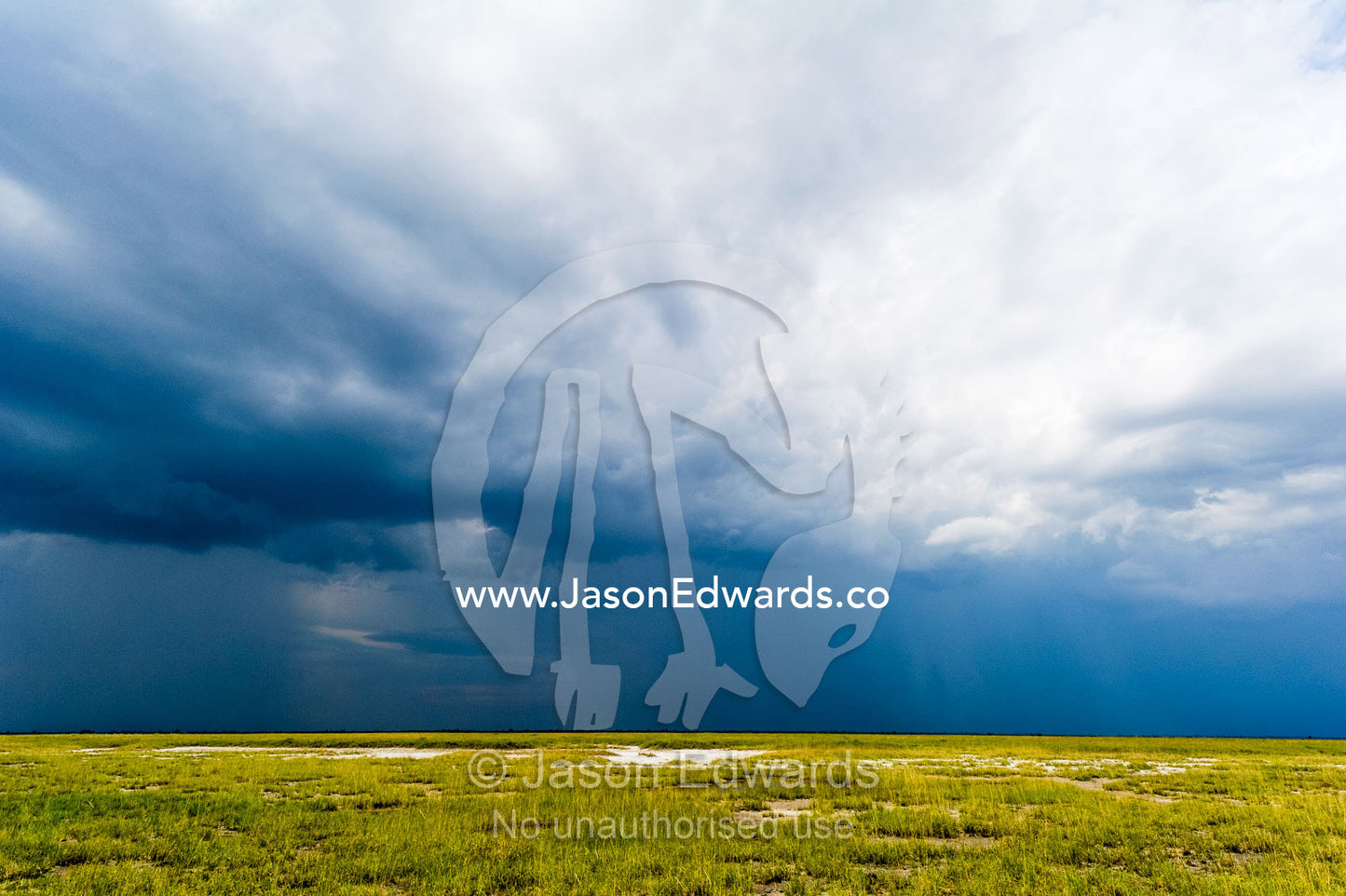 A rain storm rolls across the flat horizon of a dry savannah plain. Makgadikgadi Pans, Botswana.