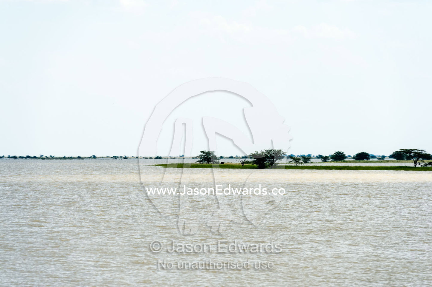 An inland sea forms when floodwater fills a salt pan. Makgadikgadi Pans, Botswana.