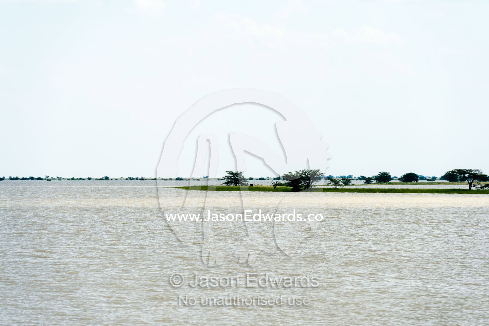 An inland sea forms when floodwater fills a salt pan. Makgadikgadi Pans, Botswana.