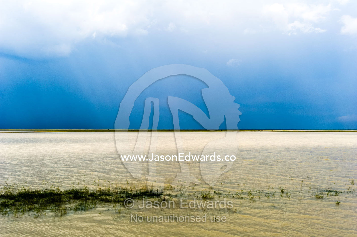 An inland sea forms when floodwater fills a salt pan. Makgadikgadi Pans, Botswana.