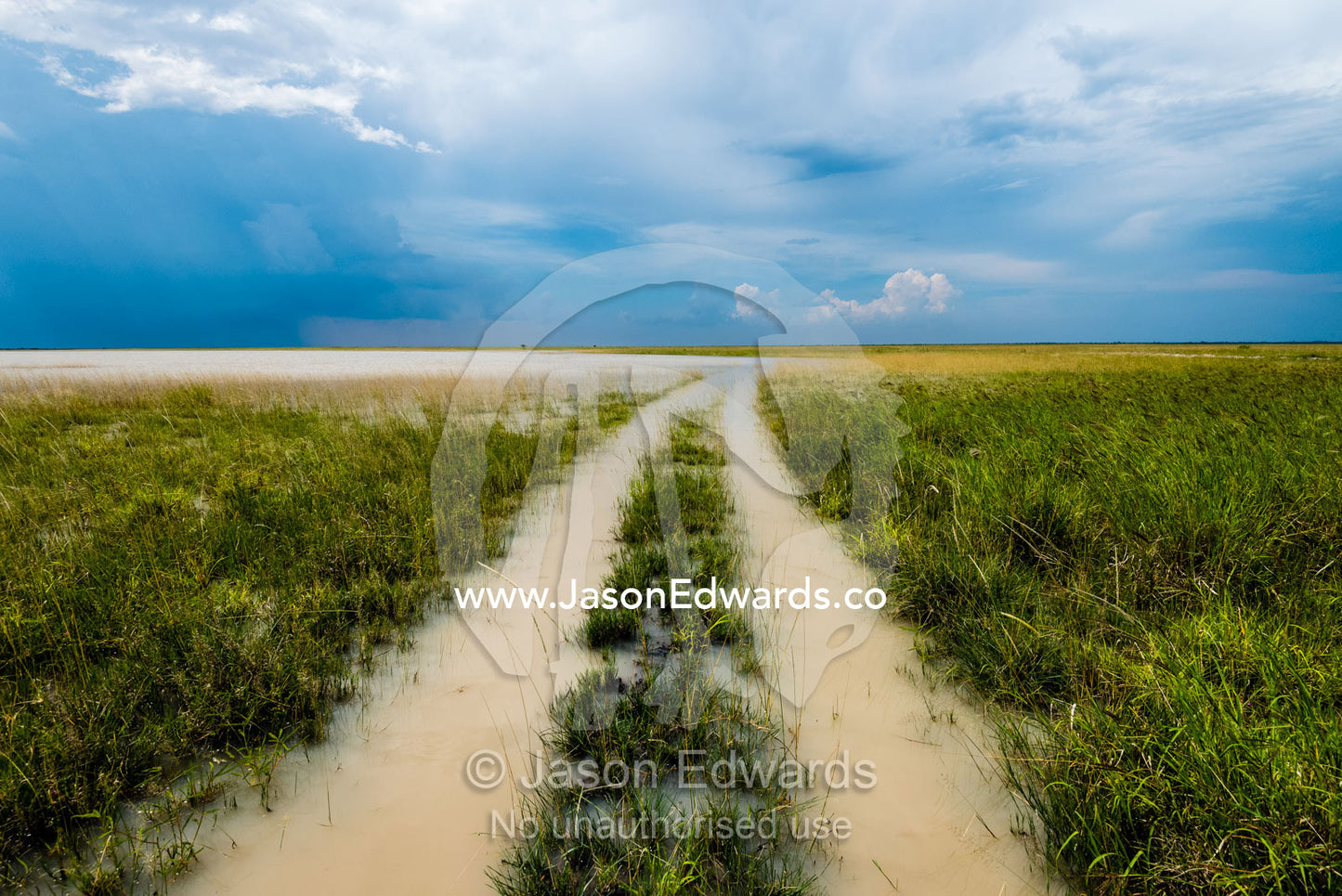 Water fills 4wd tracks crossing a flooded savannah plain. Makgadikgadi Pans, Botswana.