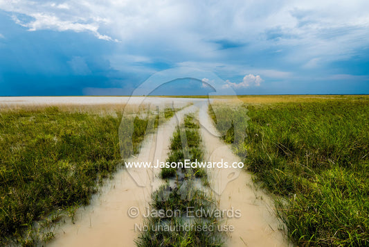 Water fills 4wd tracks crossing a flooded savannah plain. Makgadikgadi Pans, Botswana.