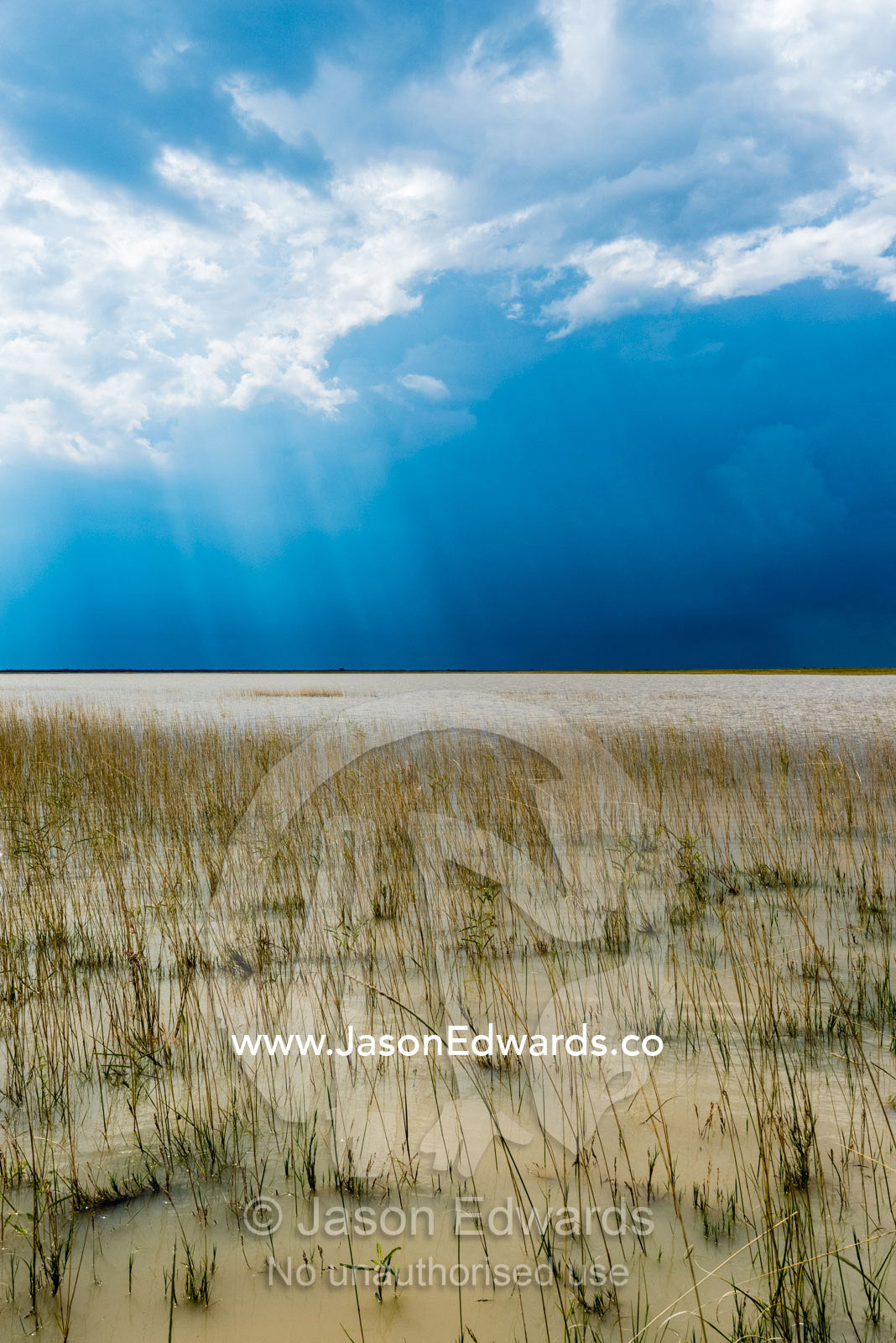 An inland sea forms when floodwater fills a salt pan. Makgadikgadi Pans, Botswana.