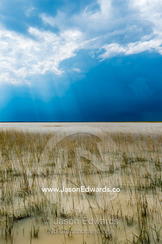 An inland sea forms when floodwater fills a salt pan. Makgadikgadi Pans, Botswana.