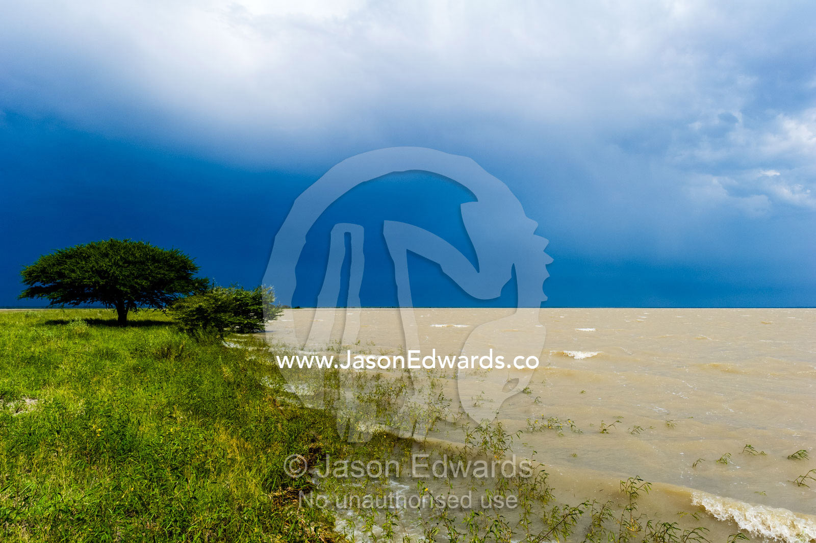 Wind waves on an inland sea form when floodwater fills a salt pan. Makgadikgadi Pans, Botswana.