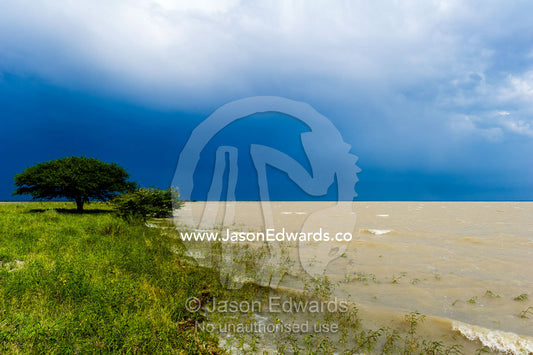 Wind waves on an inland sea form when floodwater fills a salt pan. Makgadikgadi Pans, Botswana.
