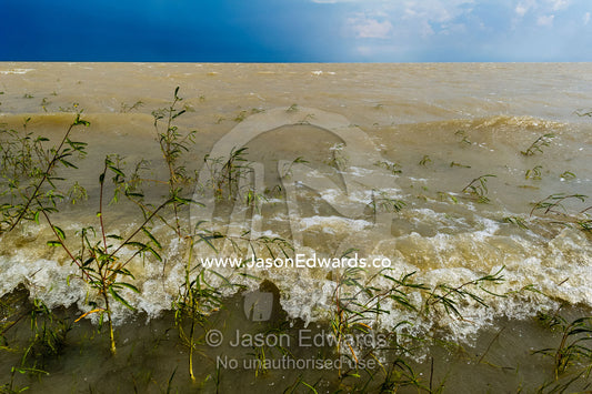 Wind waves on an inland sea form when floodwater fills a salt pan. Makgadikgadi Pans, Botswana.