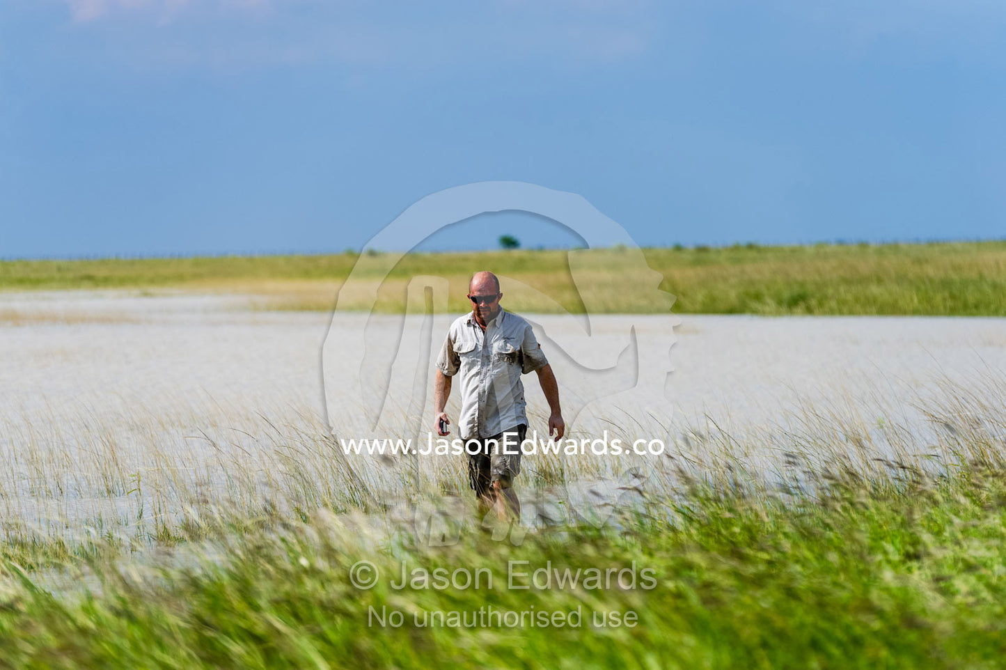 A safari guide wading across a flooded savannah plain. Makgadikgadi Pans, Botswana.