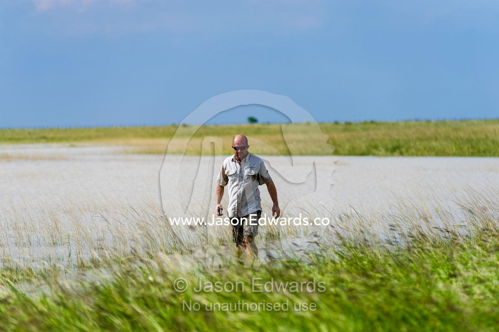 A safari guide wading across a flooded savannah plain. Makgadikgadi Pans, Botswana.