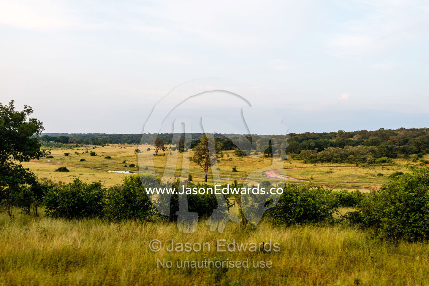 Safari vehicle tracks crossing a forest valley. Chobe National Park, Botswana.