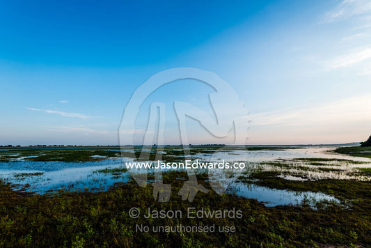 A wetland on a floodplain near a swollen river at dawn. Chobe River, Chobe National Park, Botswana.