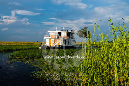 A tourist houseboat moored on the shore of a river wetland. Chobe River, Chobe National Park, Botswana.