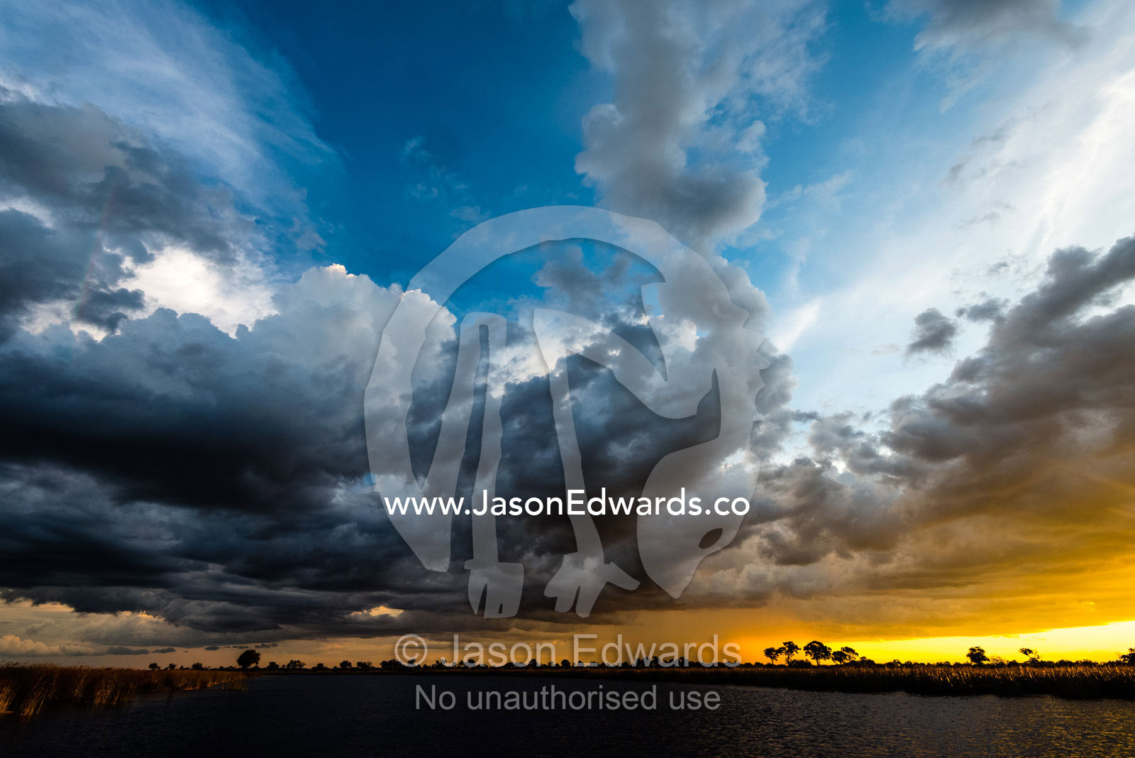A wet season storm rolls in over wetland reeds at sunset. Selinda Spillway, Selinda Reserve, Linyanti Region, Northern Botswana.