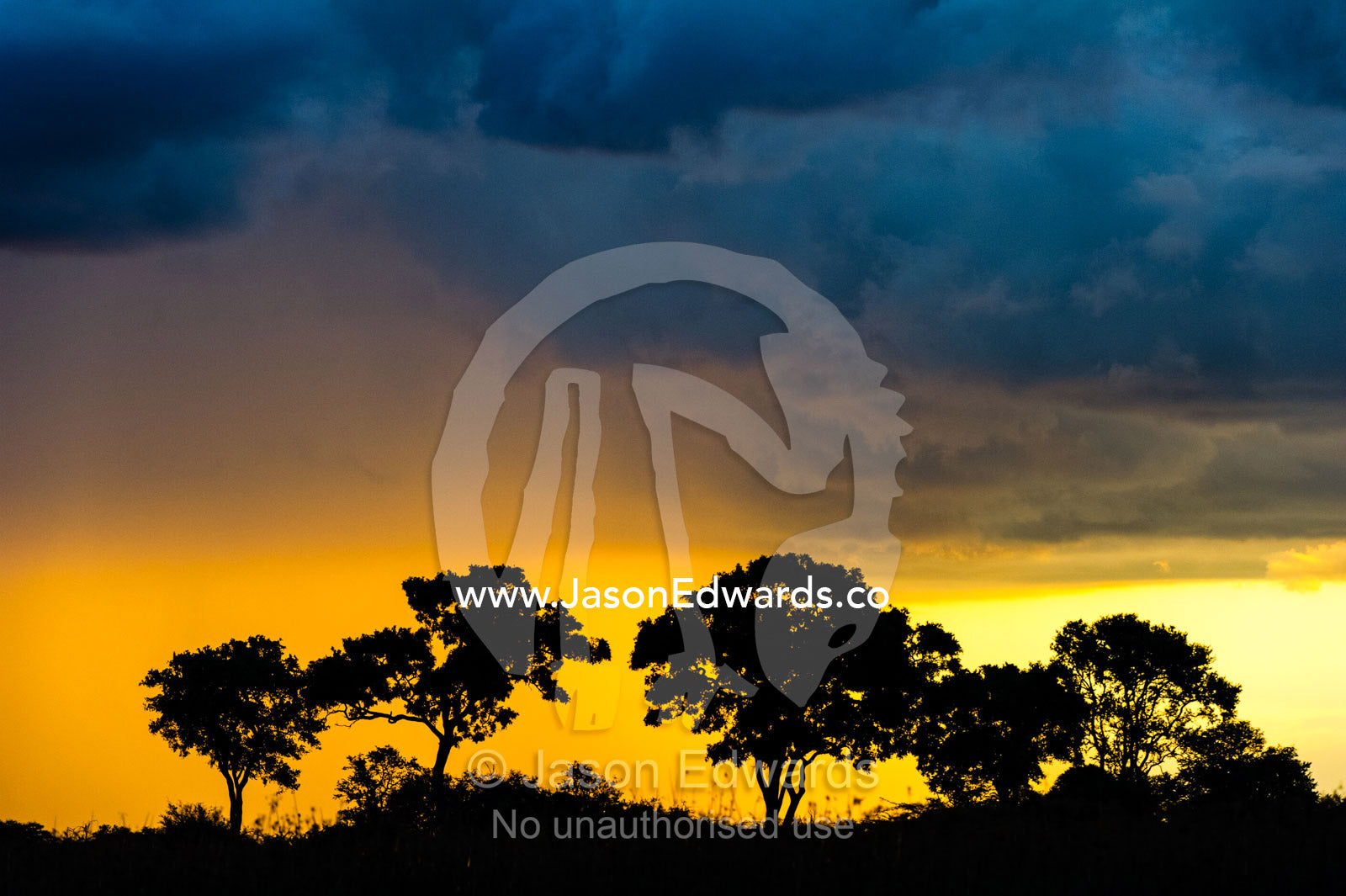The silhouette of trees on a savannah floodplain against a fiery storm at sunset. Selinda Spillway, Selinda Reserve, Linyanti Region, Northern Botswana.