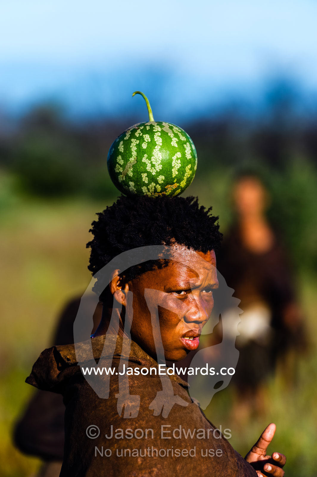 A San Bushmen woman carrying a desert citron melon she found for breakfast on her head. Kalahari Desert, Botswana.
