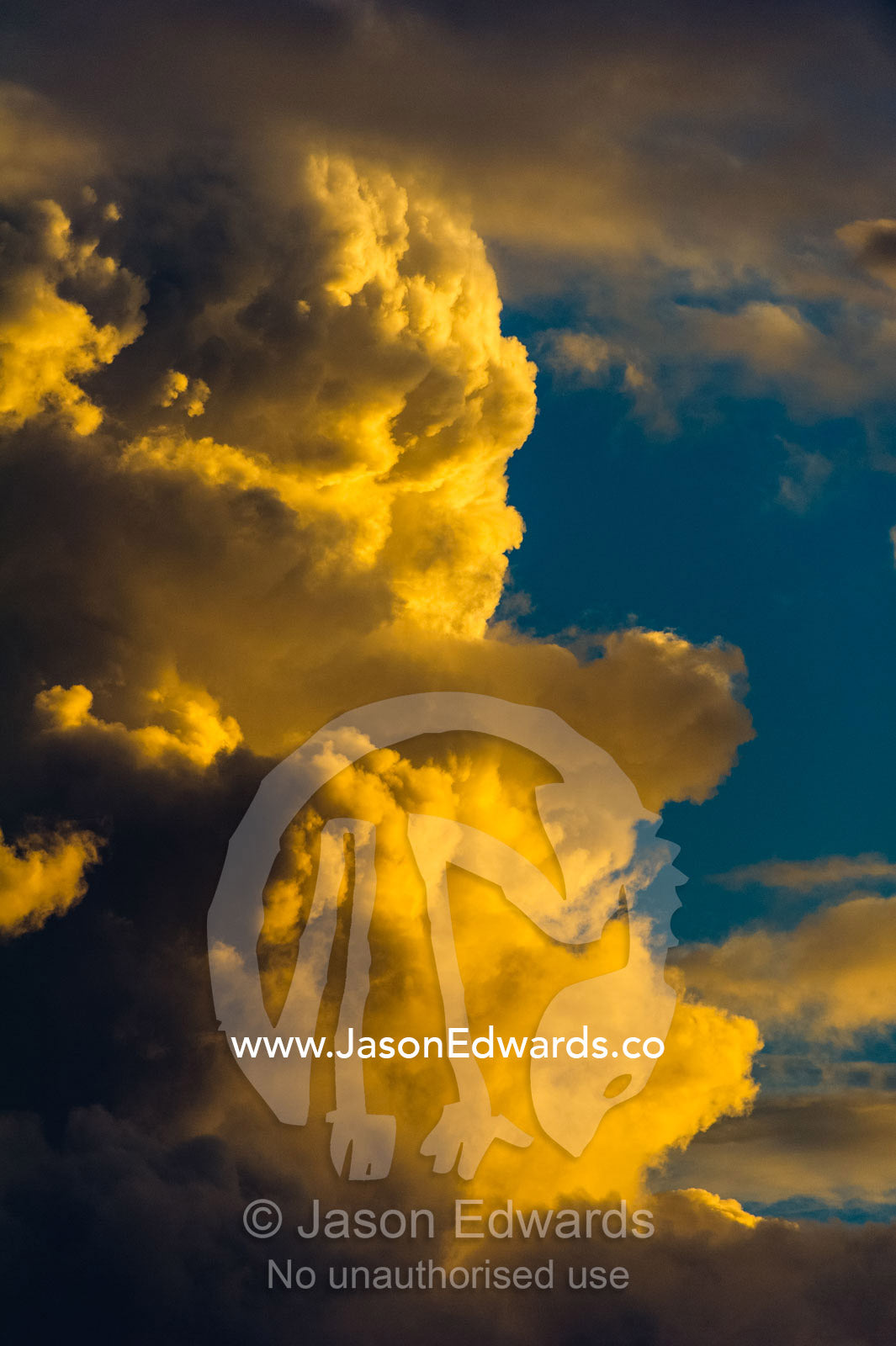A pastel coloured thunderhead forms over a floodplain at sunset. Chobe National Park, Botswana.
