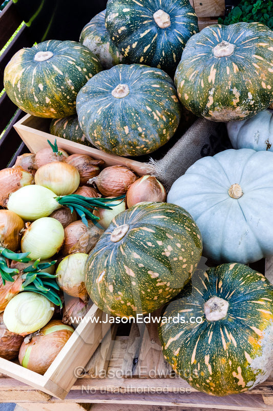 A display of onions and pumpkins at an agricultural show. Royal Melbourne Show, Flemington, Melbourne, Victoria, Australia.