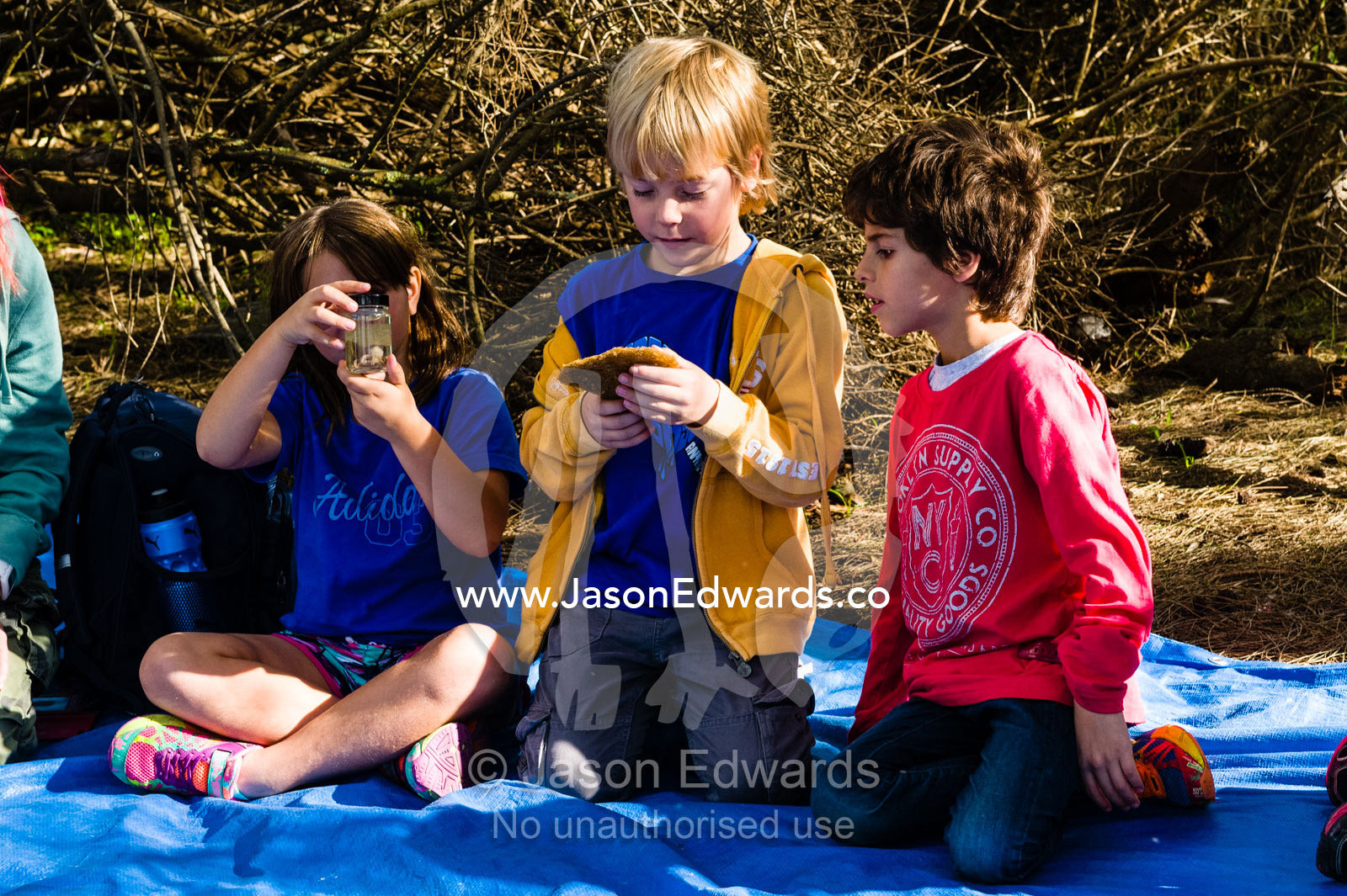 Friends on a school excursion to the beach examine ocean specimens. Ricketts Point Marine Sanctuary, Port Phillip Bay, Victoria, Australia.