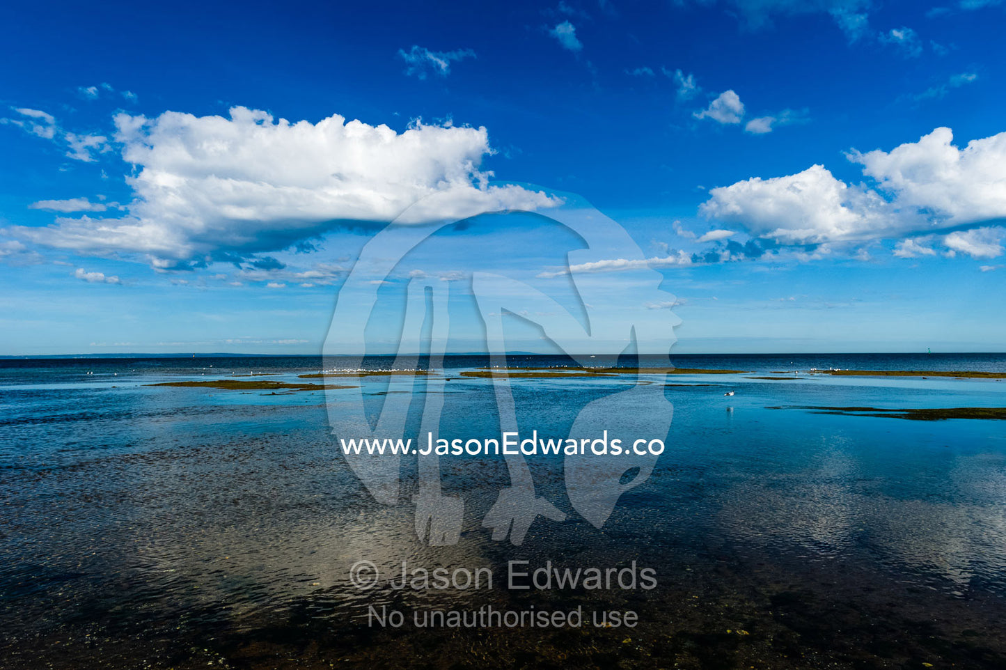 White fluffy clouds settle over a calm ocean at low tide. Ricketts Point Marine Sanctuary, Port Phillip Bay, Victoria, Australia.