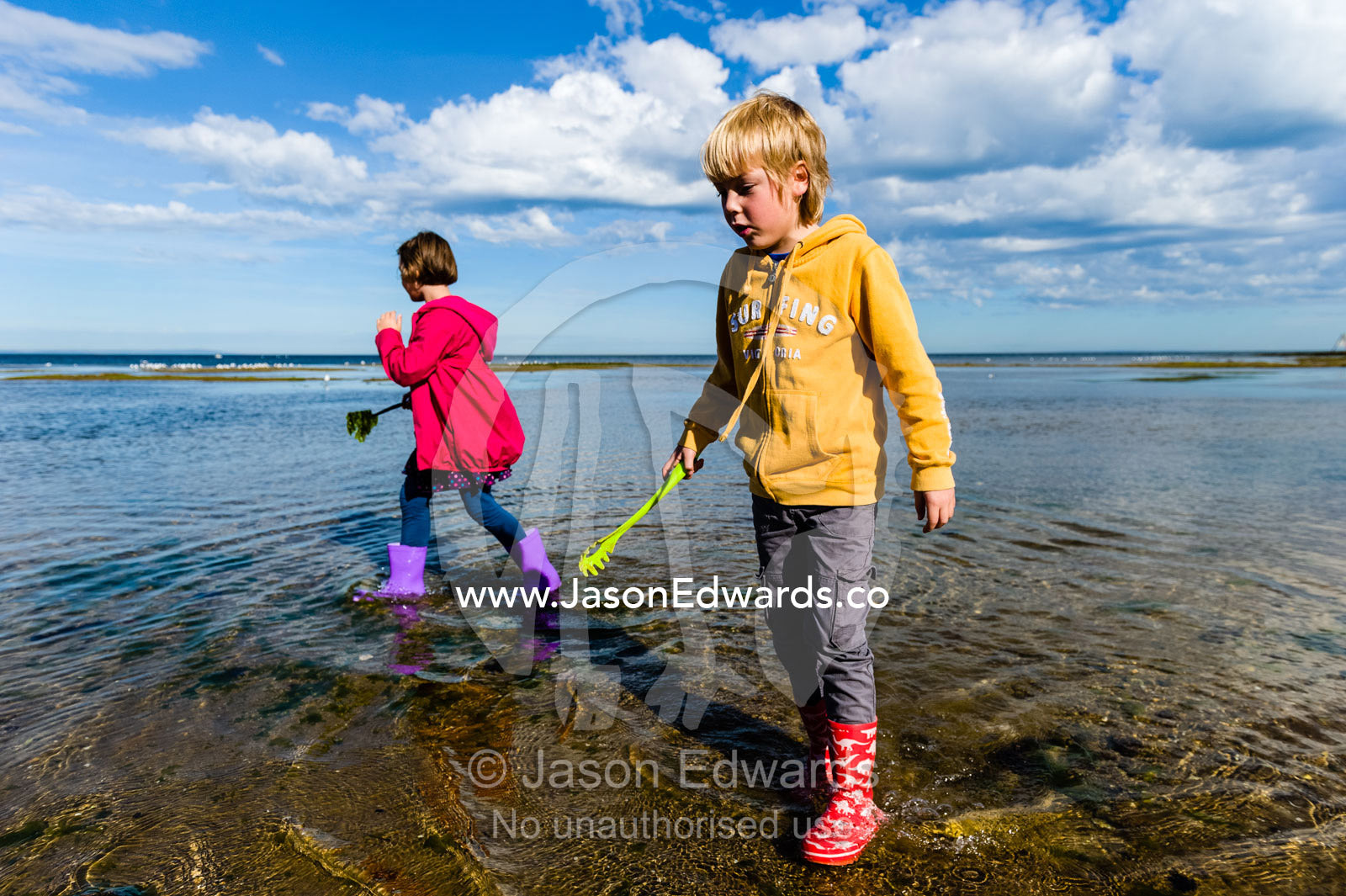 A boy searches for plants and animals in the shallows on a school excursion to the beach. Ricketts Point Marine Sanctuary, Port Phillip Bay, Victoria, Australia.
