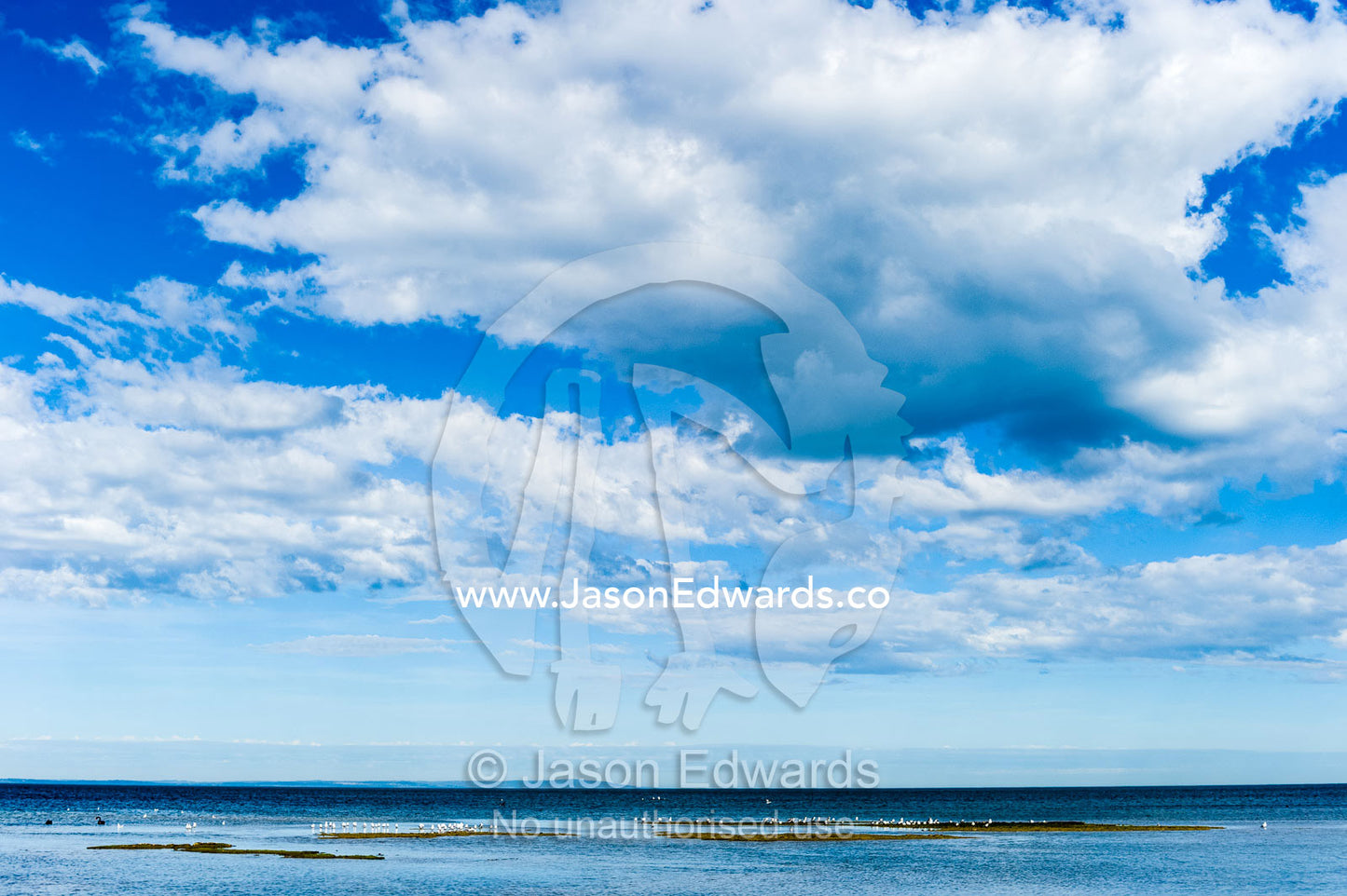 White fluffy clouds settle over a calm ocean at low tide. Ricketts Point Marine Sanctuary, Port Phillip Bay, Victoria, Australia.