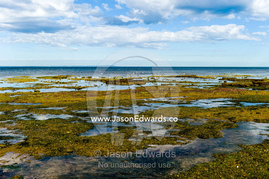 A coastal sandstone platform exposed during low tide. Ricketts Point Marine Sanctuary, Port Phillip Bay, Victoria, Australia.