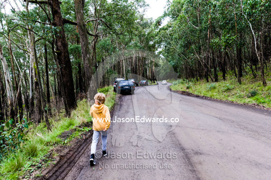 A boy walking alone down a country through a forest. Woodend, Victoria, Australia.