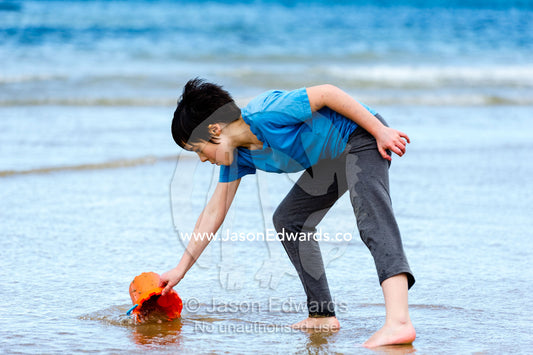 A girl files a bucket with water to make sand castles. Torquay, Surf Coast, Victoria, Australia.