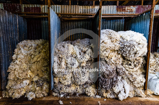 Sheep wool sorted into quality grades in a shearing shed. Euroa, Strathbogie, Victoria, Australia.