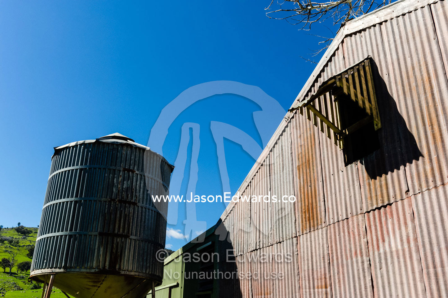 The corrugated tin wall of a sheep shearing shed. Euroa, Strathbogie, Victoria, Australia.