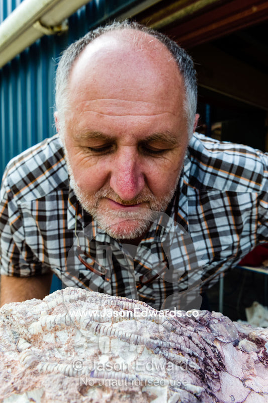 A paleontologist examines the tendrils of a crinoid fossil from the Cretaceous Period that has turned to opal in the desert. Devon Meadows, Melbourne, Victoria, Australia.