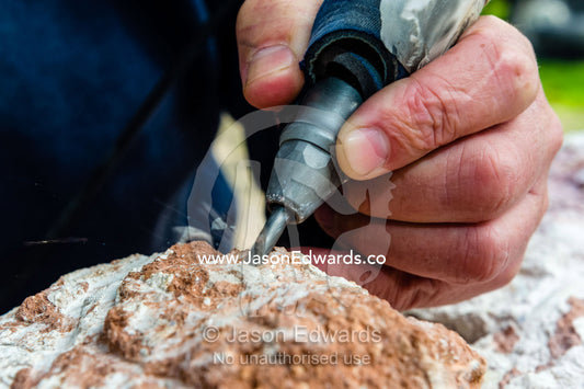 A fossil expert uses a drill to remove the rock from around the segmented tendrils of a crinoid fossil from the Cretaceous Period that has turned to opal in the desert. Devon Meadows, Melbourne, Victoria, Australia.