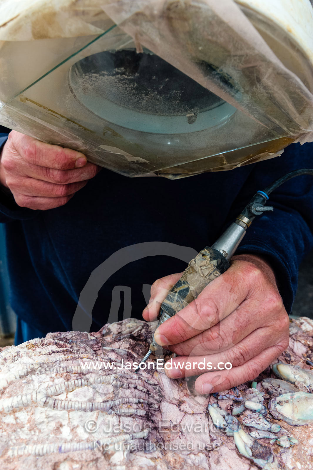 A fossil expert uses a drill and magnifying glass to remove the rock from around the segmented tendrils of a crinoid fossil from the Cretaceous Period that has turned to opal in the desert. Devon Meadows, Melbourne, Victoria, Australia.