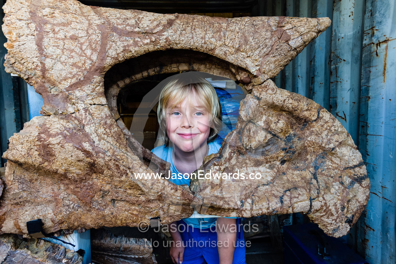 A boy looks through the skull of a Triceratops fossil. Devon Meadows, Melbourne, Victoria, Australia.
