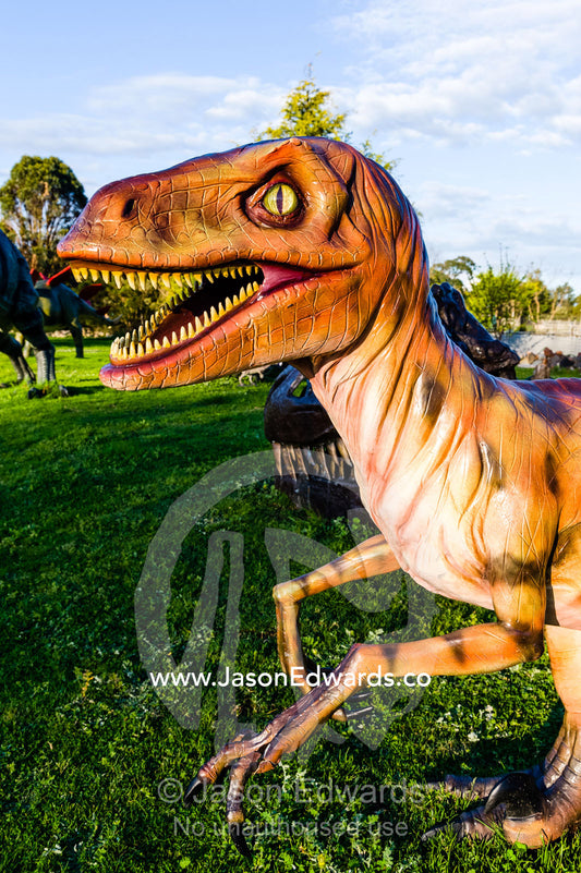 A realistic model of a frightening Velociraptor dinosaur in a garden. Devon Meadows, Melbourne, Victoria, Australia.