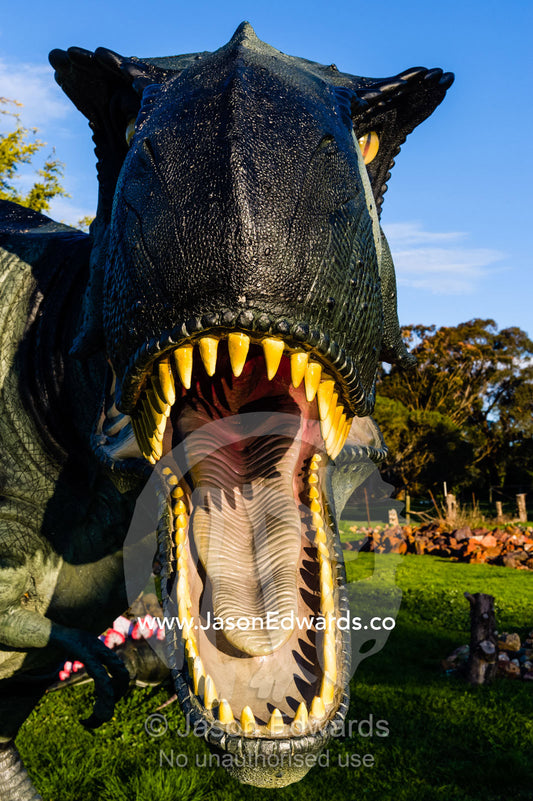 A realistic model of a frightening Tyrannosaurus rex dinosaur hunting in a garden. Devon Meadows, Melbourne, Victoria, Australia.