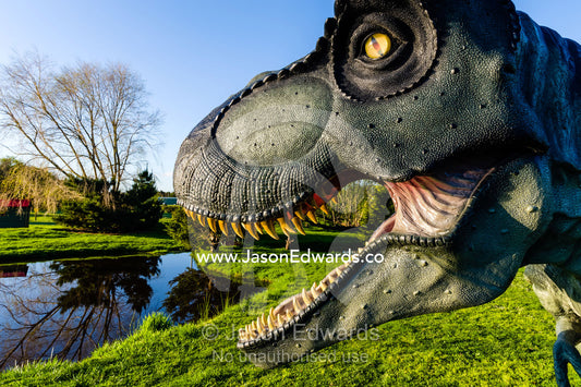 A realistic model of a frightening Tyrannosaurus rex dinosaur hunting in a garden. Devon Meadows, Melbourne, Victoria, Australia.