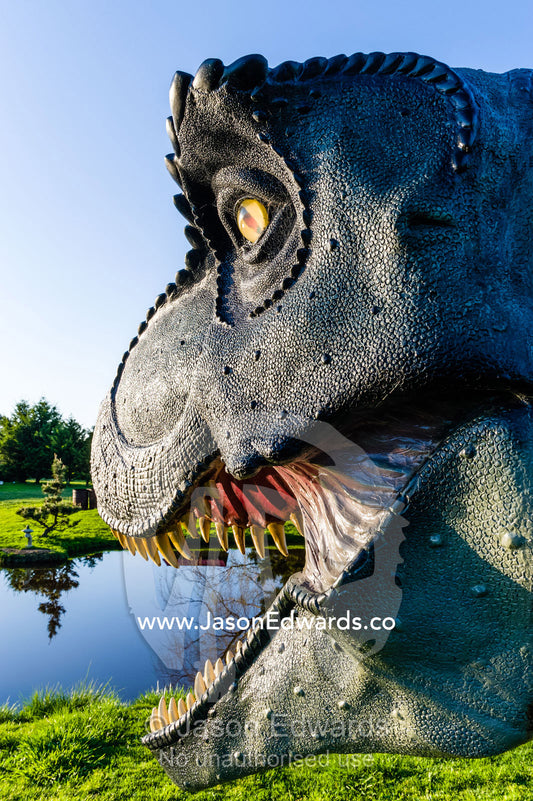 A realistic model of a frightening Tyrannosaurus rex dinosaur hunting in a garden. Devon Meadows, Melbourne, Victoria, Australia.