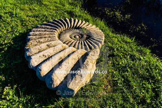 A giant stone ammonite fossil lying in a garden. Devon Meadows, Melbourne, Victoria, Australia.