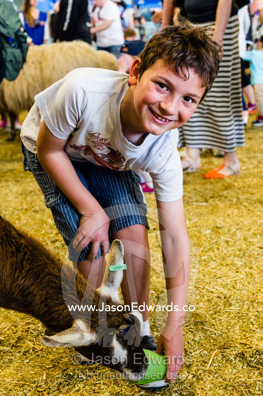 A boy feeds a goat at a petting zoo. Royal Melbourne Show, Flemington, Melbourne, Victoria, Australia.