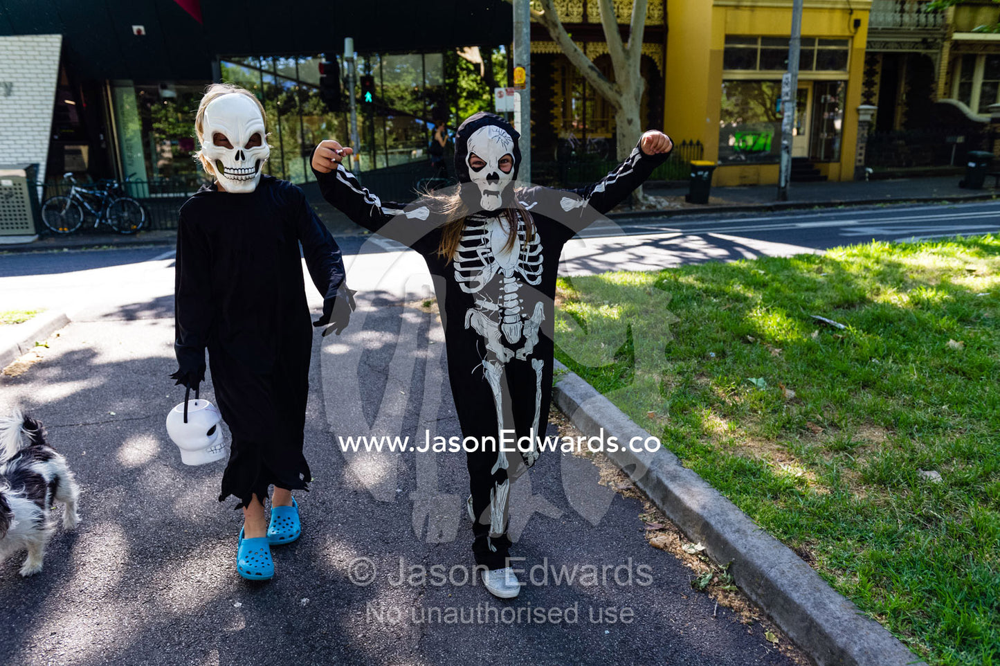Children dressed as skeletons for Halloween crossing a road. Carlton North, Melbourne, Victoria, Australia.