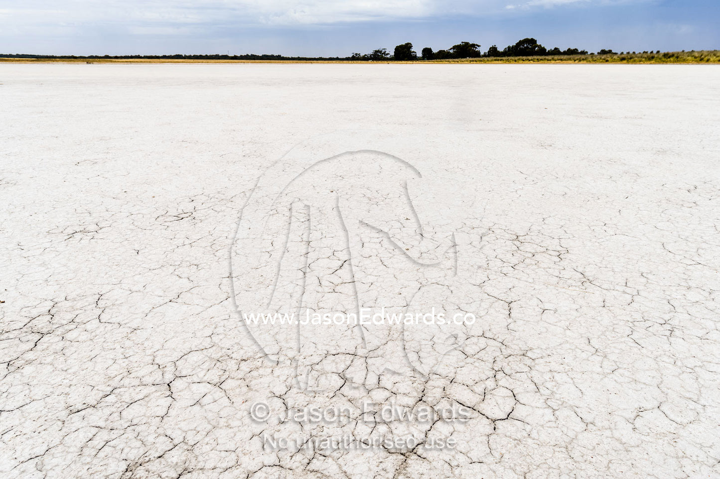 Cracked dry salt on the lake bed on a farm. Naracoorte, South Australia, Australia.