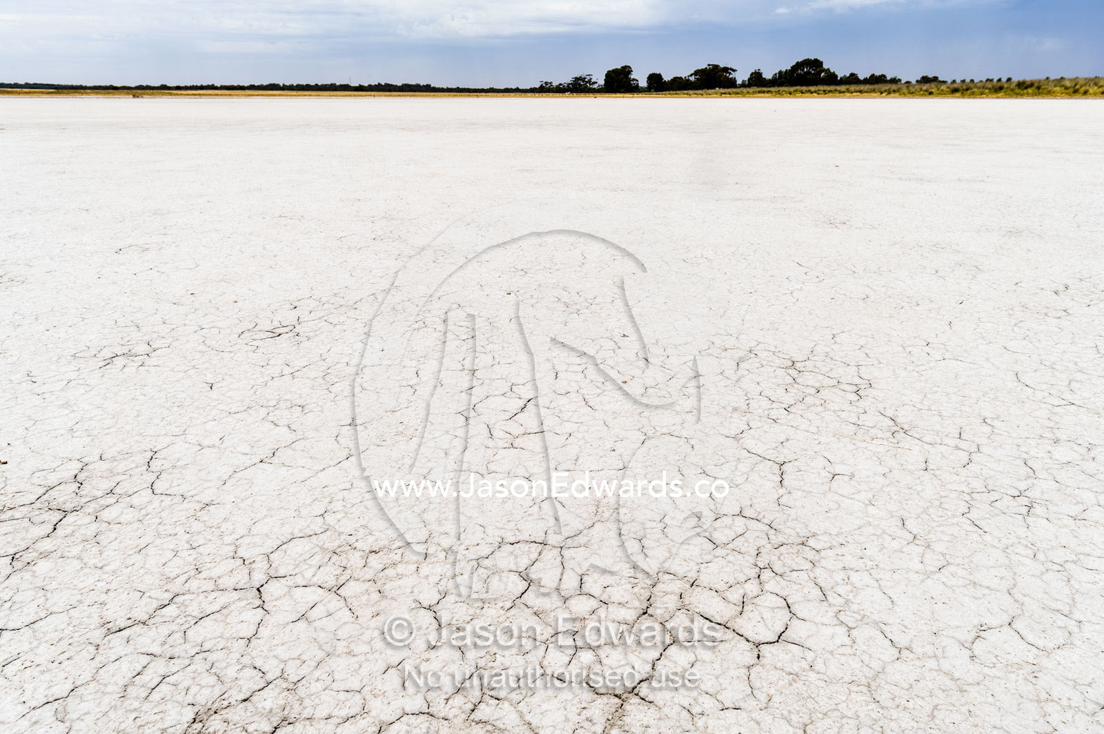 Cracked dry salt on the lake bed on a farm. Naracoorte, South Australia, Australia.