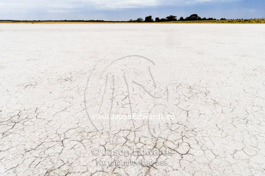 Cracked dry salt on the lake bed on a farm. Naracoorte, South Australia, Australia.