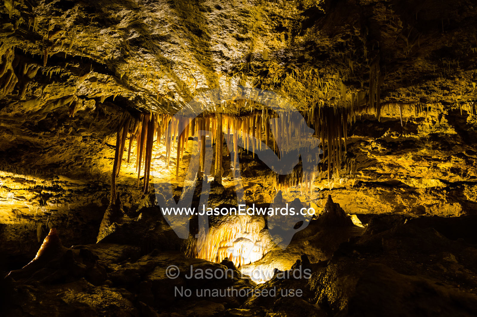 Spectacular stalactites and stalagmites formed by water and mineral deposits decorate the caves. Naracoorte Caves National Park, South Australia, Australia.