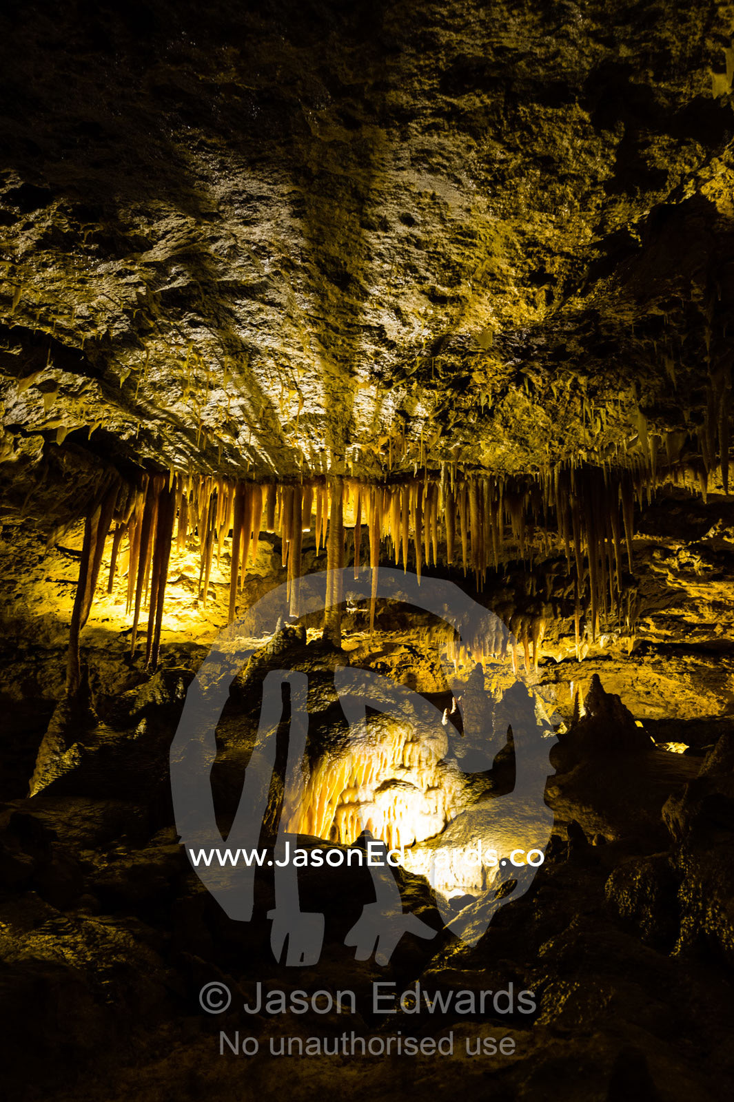 Spectacular stalactites and stalagmites formed by water and mineral deposits decorate the caves. Naracoorte Caves National Park, South Australia, Australia.